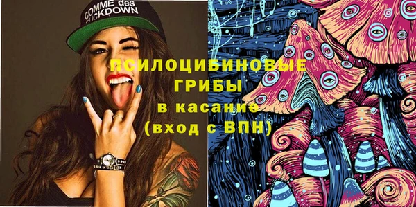 кристаллы Гусев